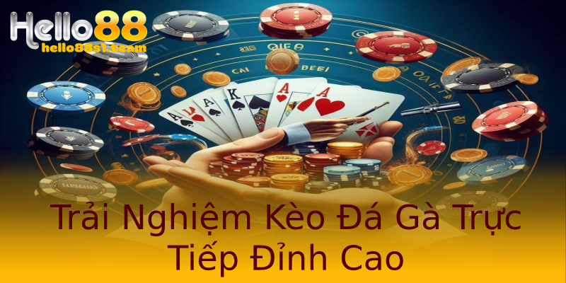 Trải Nghiệm Kèo Đá Gà Trực Tiếp Đỉnh Cao Trải Nghiệm Kèo Đá Gà Trực Tiếp Đỉnh Cao